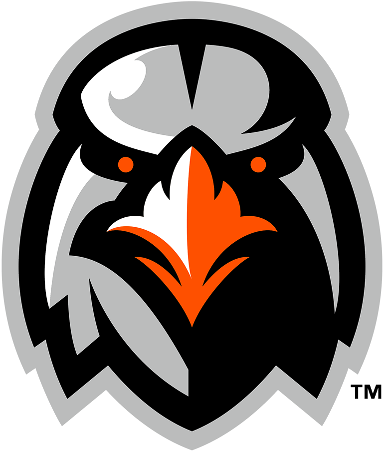 Aberdeen IronBirds 2013-2020 Alternate Logo iron on transfers for T-shirts